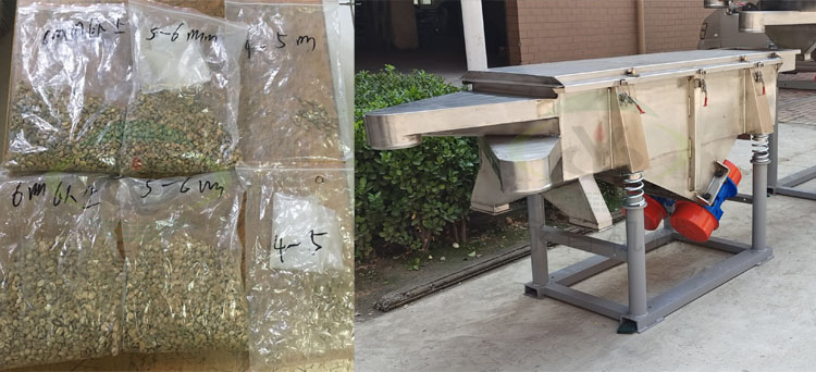 coffee beans sorting machine