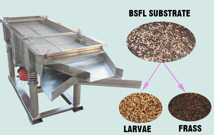 BSF LARVAE SEPARATOR
