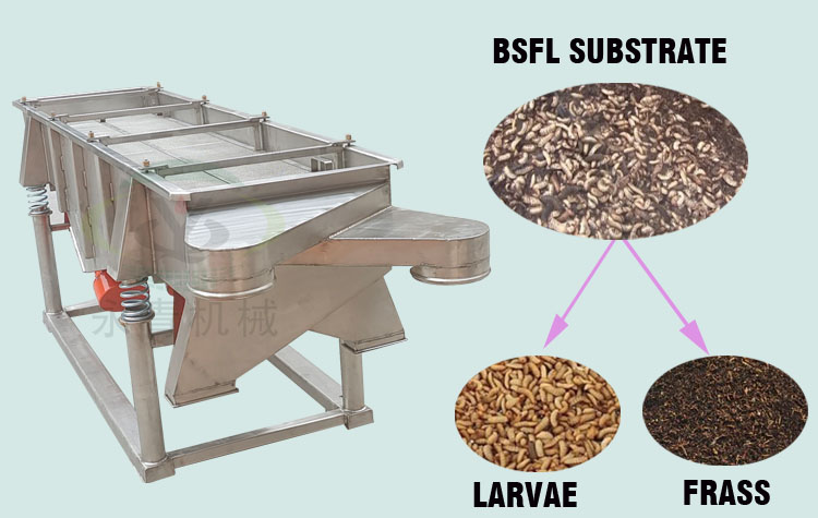 bsf larvae sieve