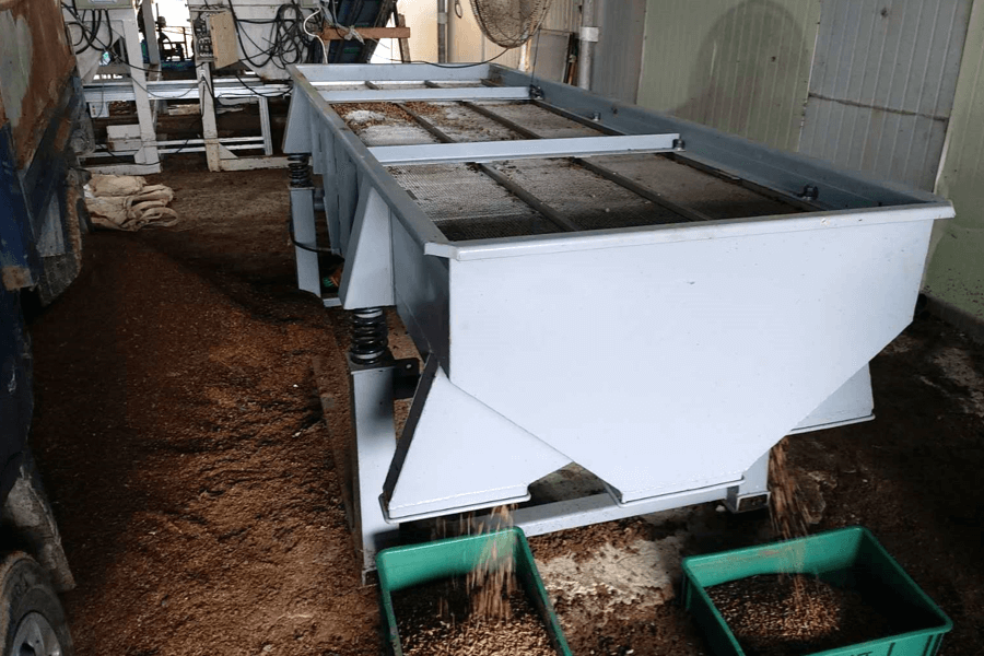 Black soldier fly (BSF) Biowaste Treatment